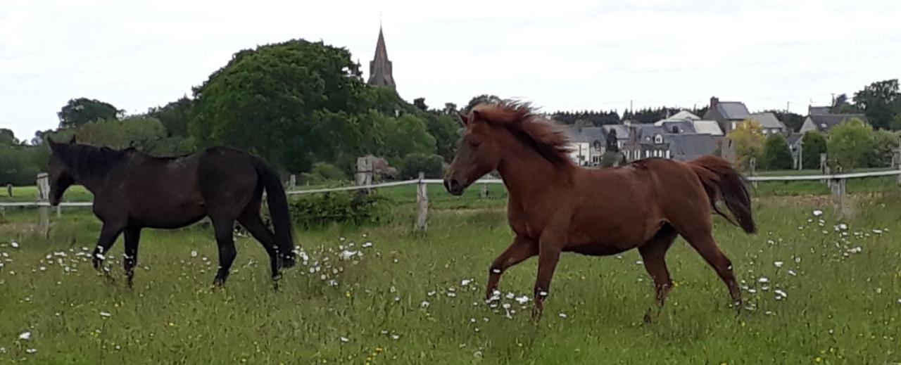 Gite La Bulle En Baie, Proche Mont Saint-Michel, Au Calme, Pour 4 Pers Crollon 외부 사진