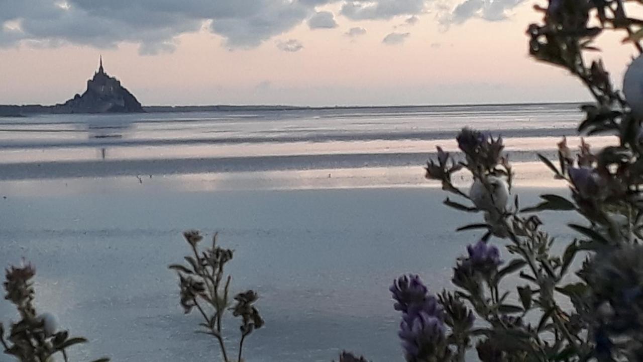 Gite La Bulle En Baie, Proche Mont Saint-Michel, Au Calme, Pour 4 Pers Crollon 외부 사진